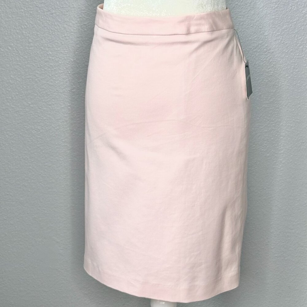 Liz Claiborne Career Pale Pink Dress Skirt
